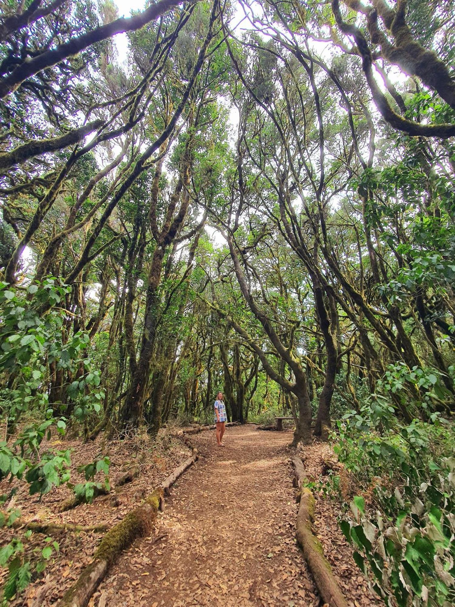 Cactus Hostel San Sebastian De La Gomera Ngoại thất bức ảnh